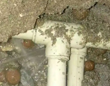 青山测漏水多少钱