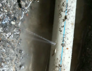 青山测漏水哪家好