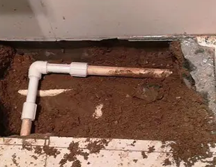 青山测漏水哪家好