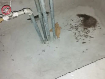 青山卫生间测漏水价格明细