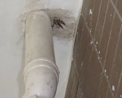 青山漏水检测哪家好